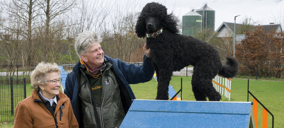 Jørgen har åbnet Danmarks første hundekro: ”Mit motto er hvorfor ikke?”