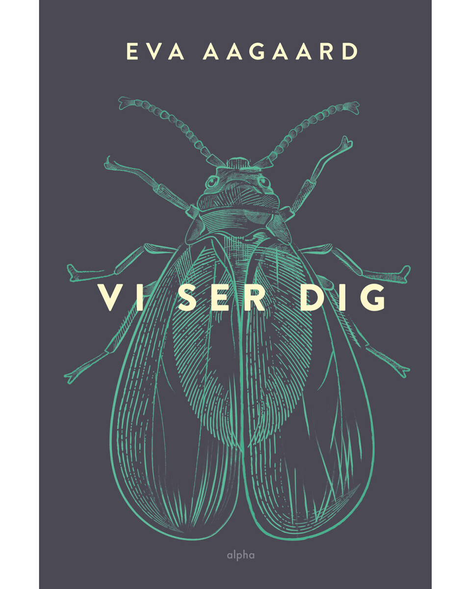 'Vi ser dig', Eva Aagaard, Alpha, 250 sider, 250 kr.