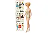 Barbie fra 1964: Den amerikanske dukke skilte sig tydeligt ud fra de dukker, man plejede at lege med herhjemme.