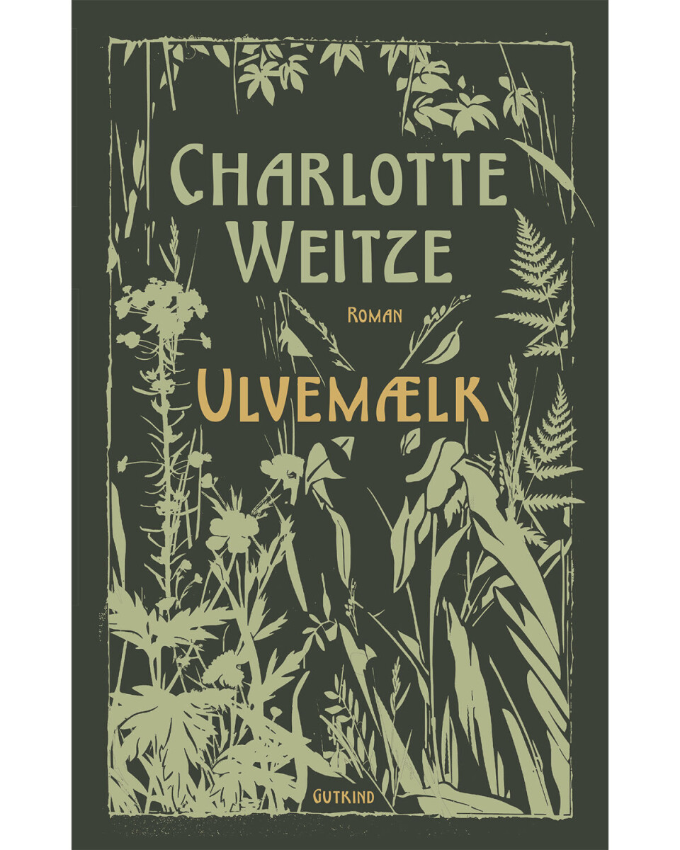 'Ulvemælk', Charlotte Weitze, Gutkind, 330 sider, 300 kr.