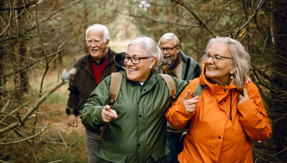 En gruppe mennesker der går tud i skoven