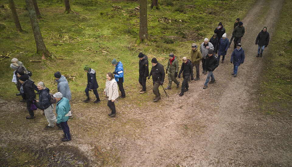 De går i et raskt tempo, men dog ikke hurtigere end at alle kan være med.