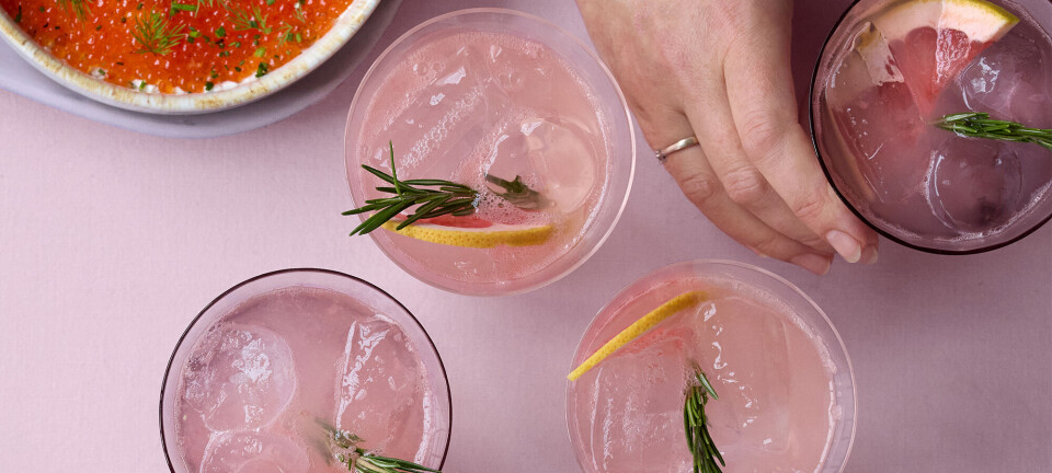 Gin og rosmarin Paloma