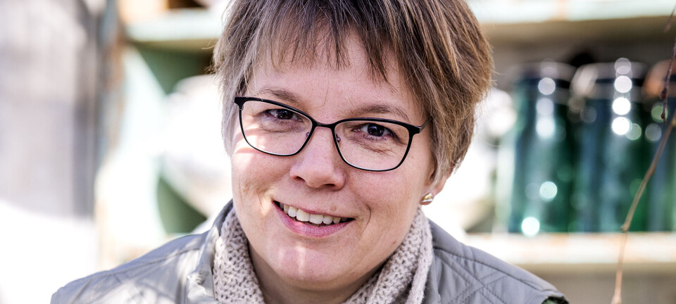 Få Janes tips: Her er årets første hyggelige gøremål i orangeriet