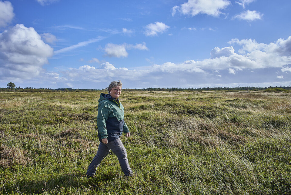 Vibeke Andersen er ude at vandre. Der er blå himmel.
