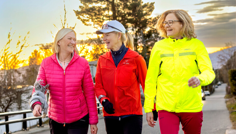 De tre veninder Anita, Sigrun og Hanne, som hver uge mødes til en lang gåtur - og har gjort det i 30 år.