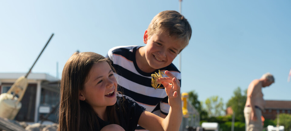 Fyld påskeferien med familievenlige oplevelser