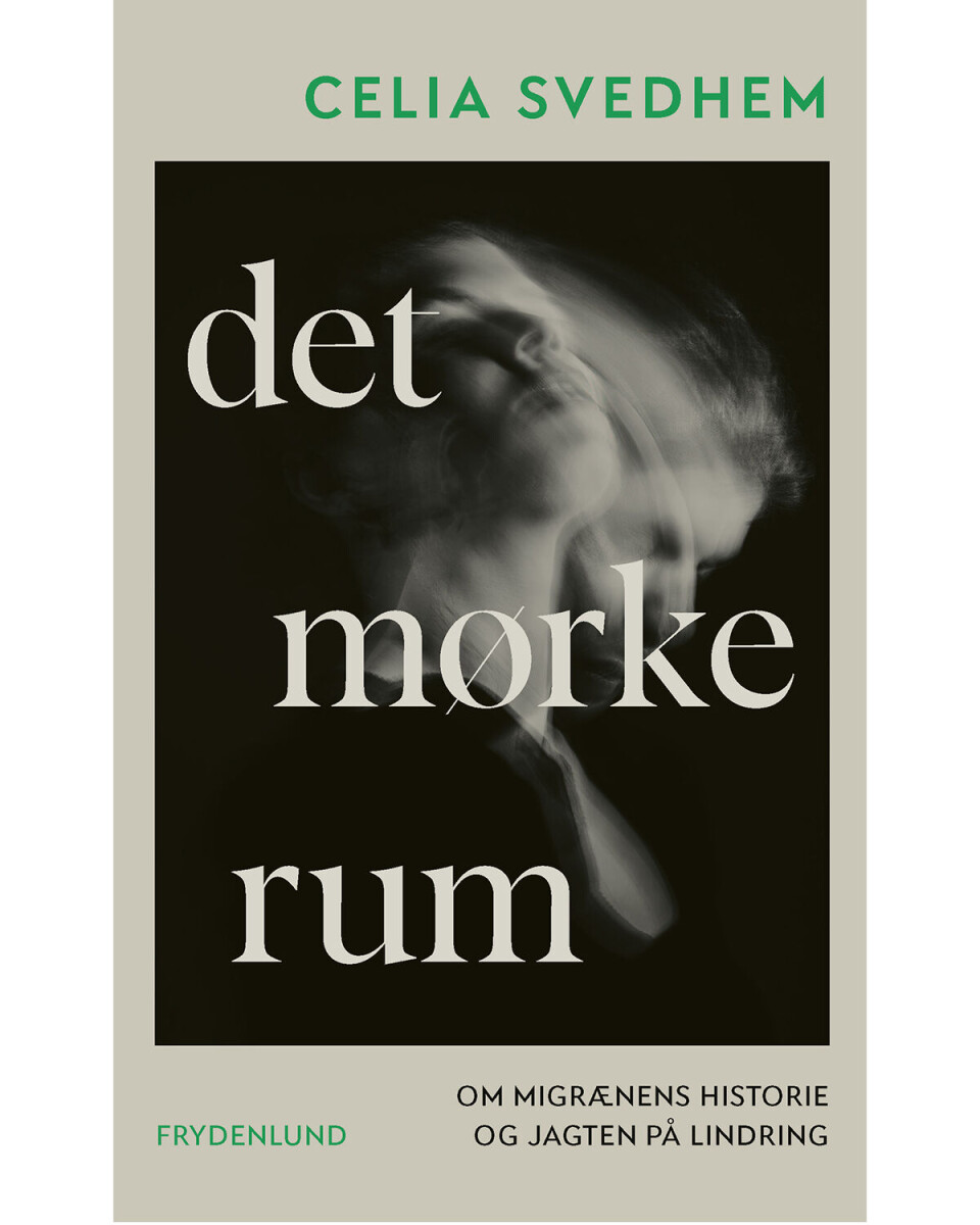 'Det mørke rum', Celia Svendham, Forlaget Frydenlund, 183 sider, 235 kr.