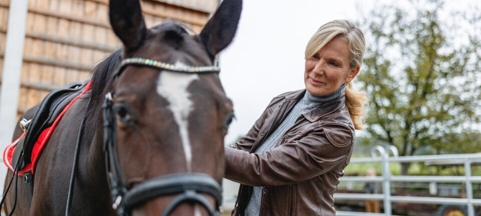 11 udtryk du kun kender, hvis du har været hestepige (- eller dreng)