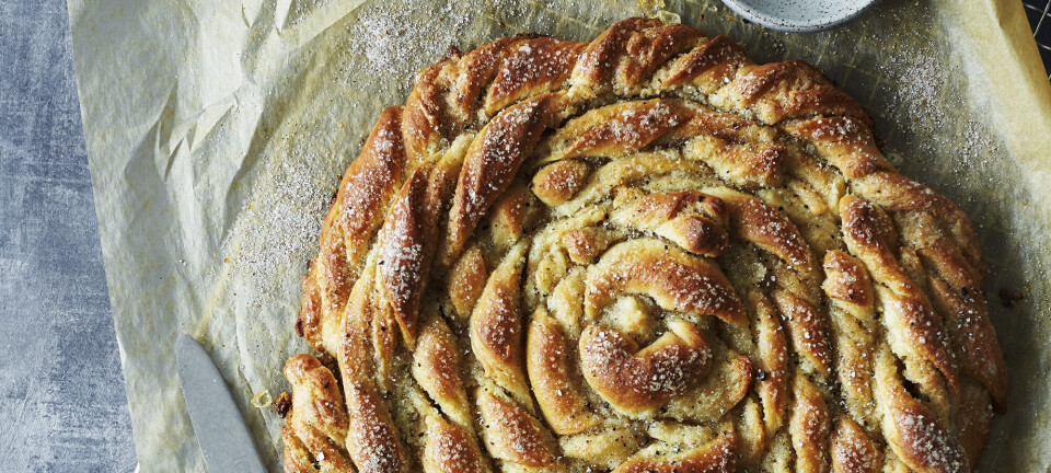 Kæmpe kardemommesnurre