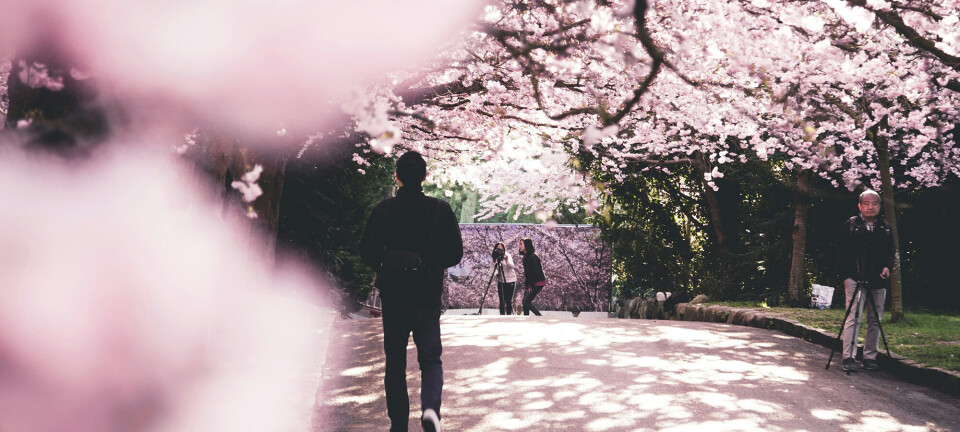 Her er 3 ting, du bør opleve i København i april