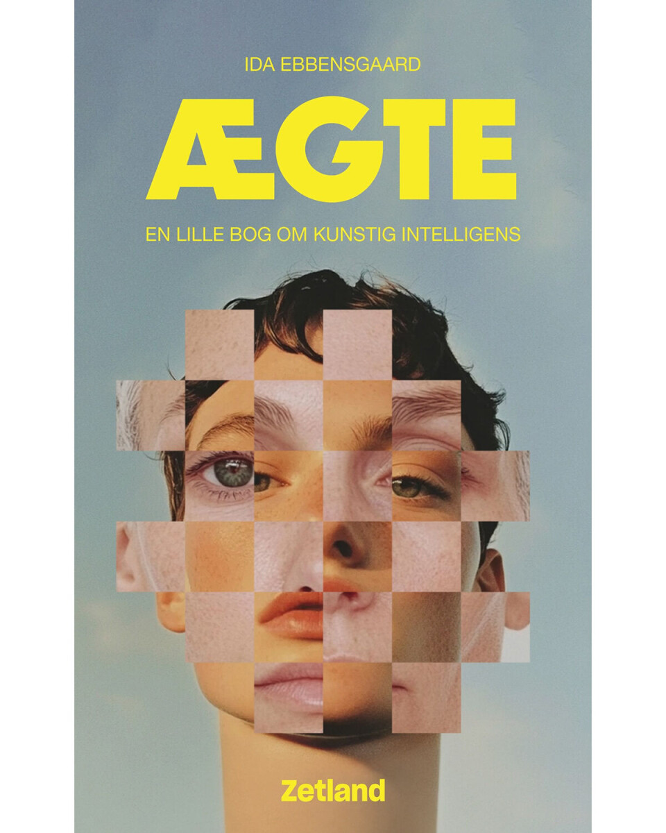 'Ægte', Ida Ebbensgaard, Zetland, 216 sider, 135 kr.