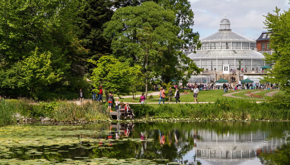 Botanisk have.