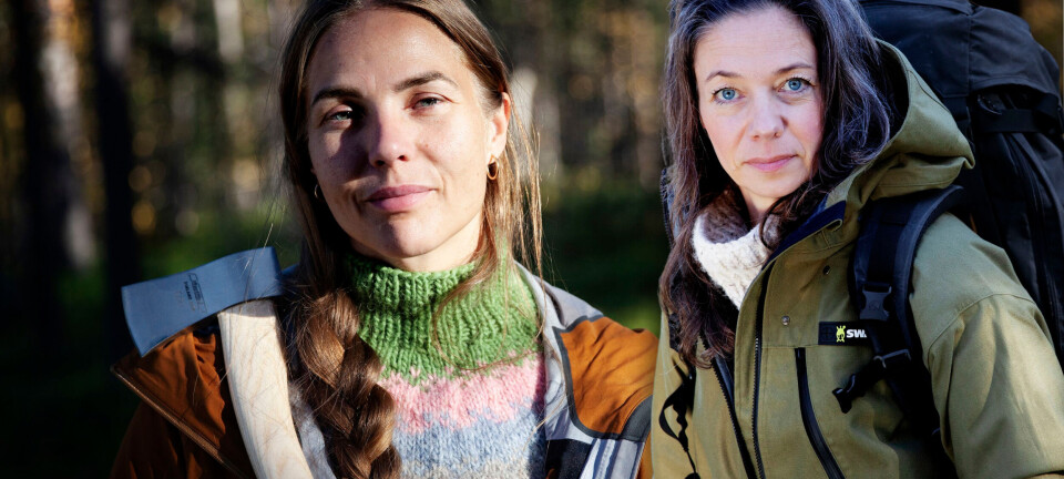 Det ser man ikke på tv: Derfor farer de vild