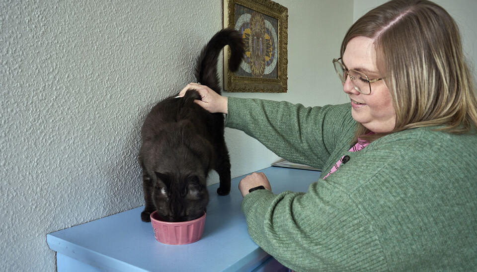 Kamilla Santos ses fra siden, imens hun aer sin sorte kat, som spiser af en madskål.