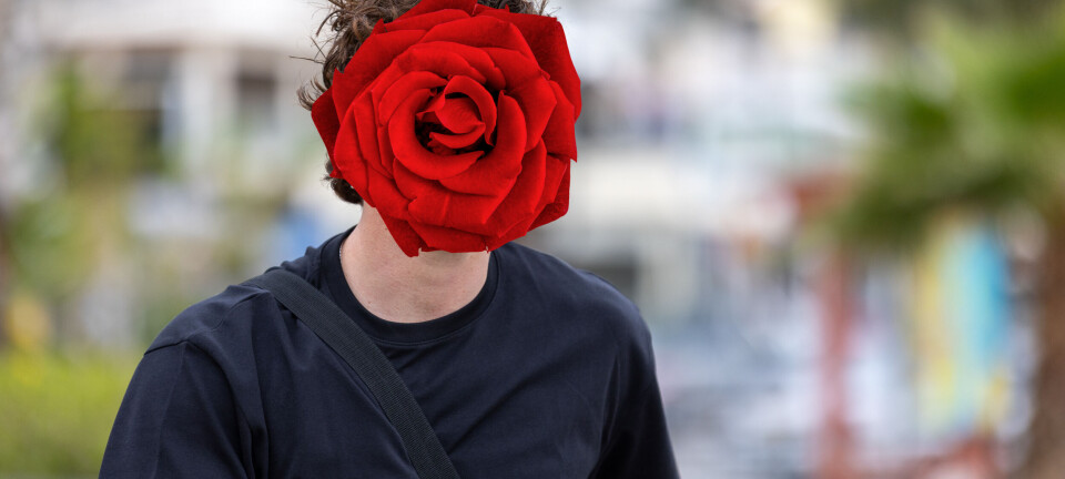 Kendt fra tv: Her er den anden mand i 'Bachelor'