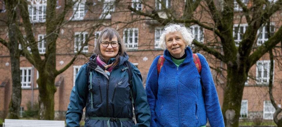 Lisbeth og Lillian har begge rejst alene: “Hvis vi kan, så kan du også”