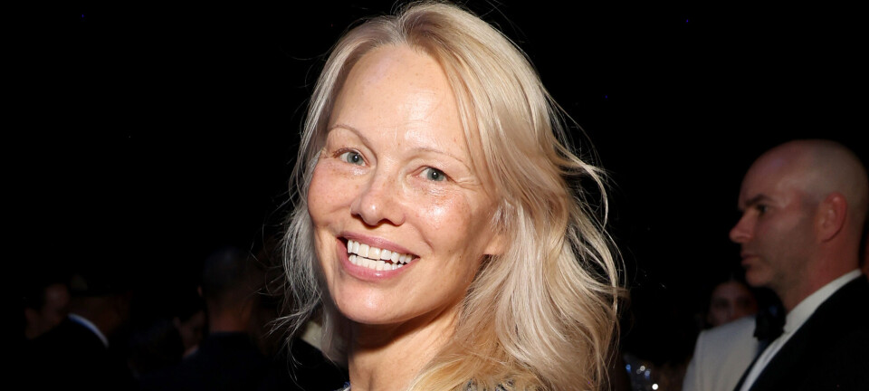 Fra hypet K-beauty til tysk effektivitet: Disse internationale produkter bør du investere i