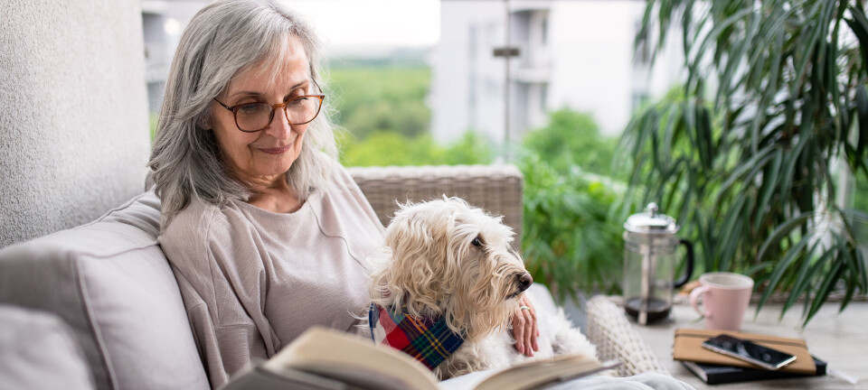 Her er 4 nye bøger, der er perfekte til de kommende helligdage