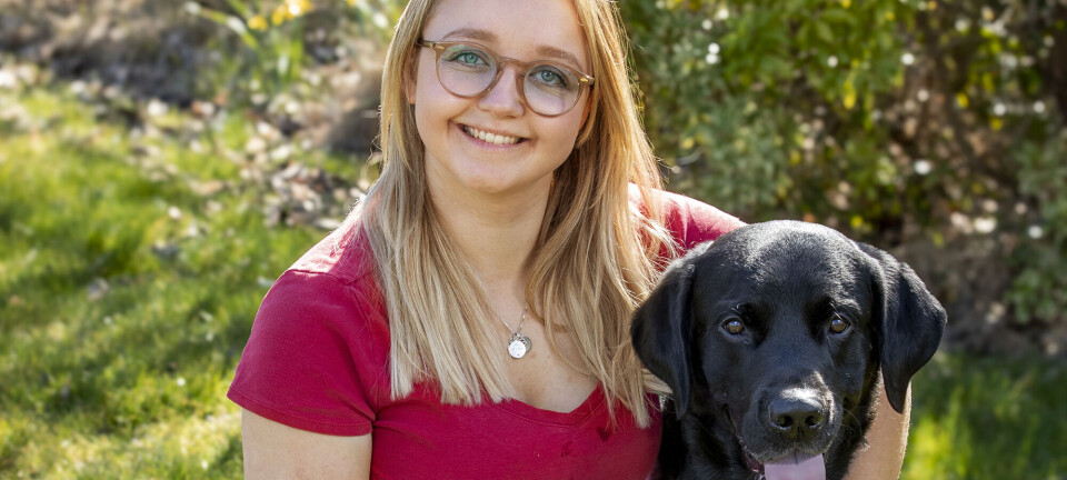 Nemme tips til opdragelsen: Sådan får du en glad og rolig hund