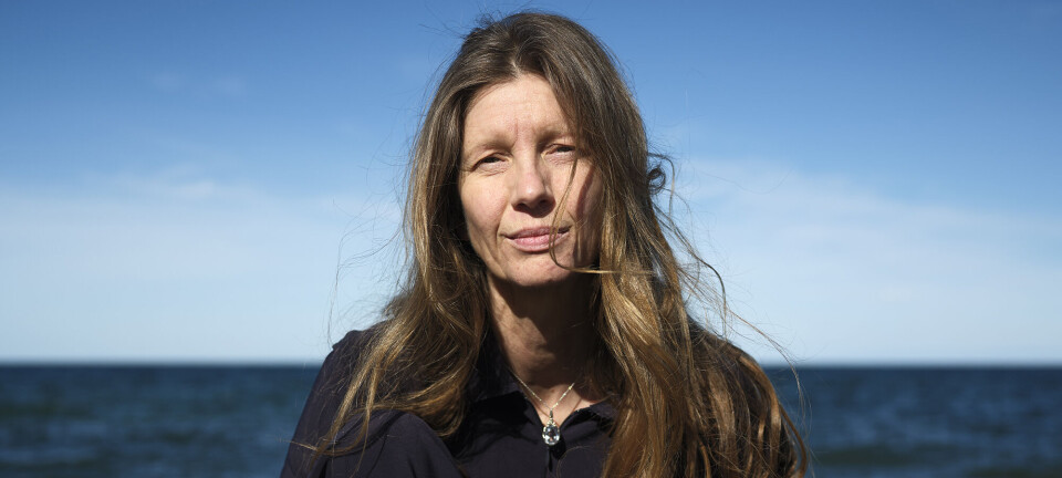 Siden Esthers søn blev dræbt i Fields, har kun én form for arbejde givet mening for hende