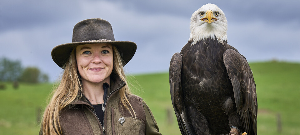 Isabella sagde farvel til sin angst – og hun gjorde det ved hjælp af rovfugle