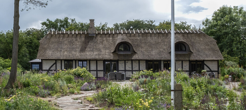 Anja og Martin bor mellem strand og skov: Se deres fantastiske have
