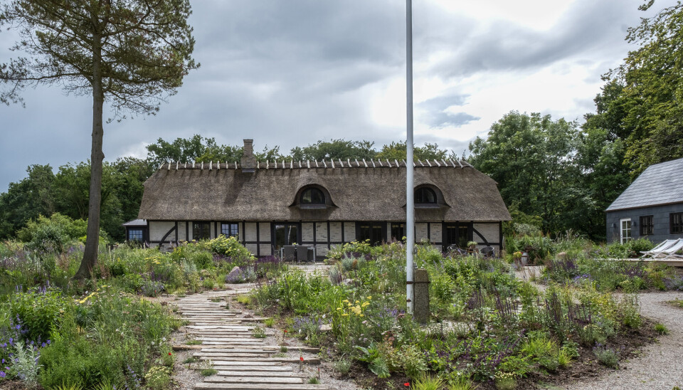 Anja og Martin bor mellem strand og skov: Se deres fantastiske have