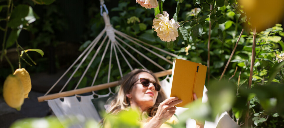 Her er 15 fantastiske romance-bøger til din sommer