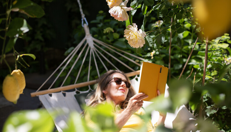 Her er 15 fantastiske romance-bøger til din sommer