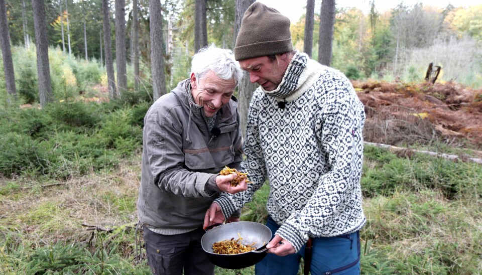 Jørgen Skouboe og Nikolaj Kirk er tilbage i 'Nak & Æd'