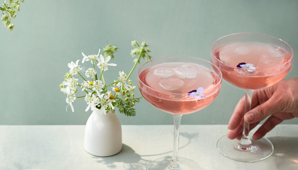 Smuk og skøn hyldeblomst Spritz med gin