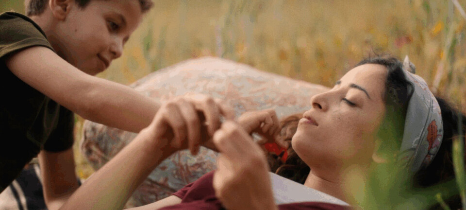 Oscarkandidat er endelig landet i danske biografer: Her er, hvorfor du bør se den