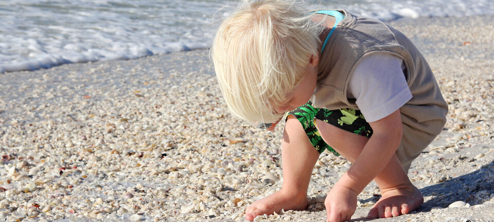 DIY: Her er 8 projekter, du kan lave ud af smukke skaller og fine sten fra stranden
