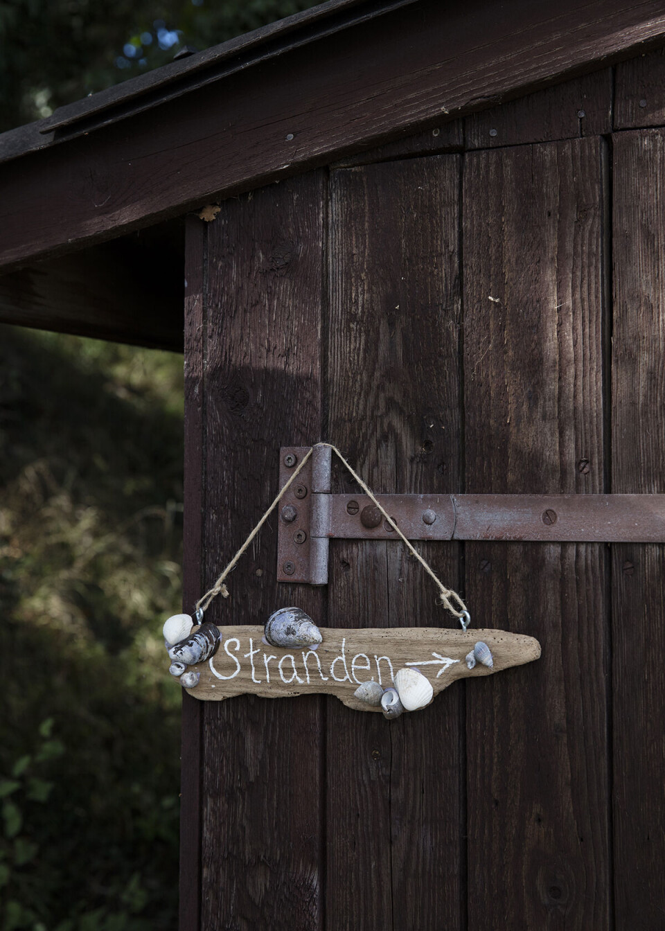 DIY: Her er 8 projekter, du kan lave ud af smukke skaller og fine sten fra stranden