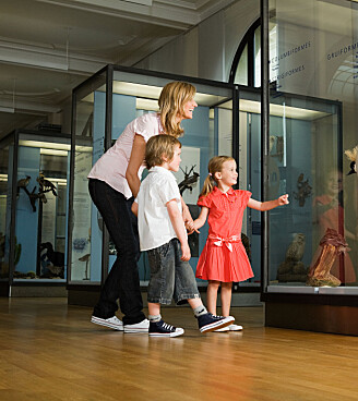 Sjove og spændende museumsbesøg i den vestlige del af Danmark