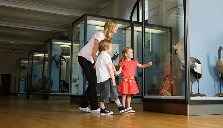 Sjove og spændende museumsbesøg i den vestlige del af Danmark