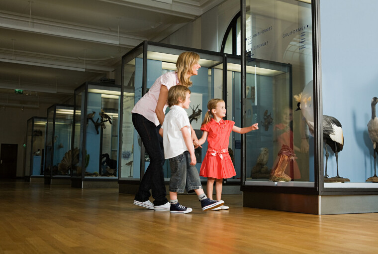 Sjove og spændende museumsbesøg i den vestlige del af Danmark