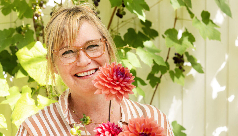 Foto af Helle Damgaard.