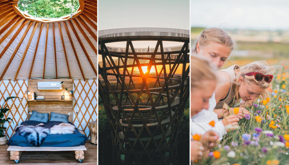 Glamping telt, Skovtårnet og piger som dufter og plukker blomster