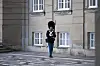 Drama på Amalienborg: Gardere afspærrede Toldbodgade
