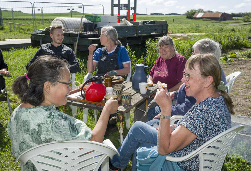I kaffepausen dyrkes fællesskabet, og det er mindst ligeså vigtigt som at passe afgrøderne. Forrest til højre Lene, Racheli og bagved Else, Lene og Anders.