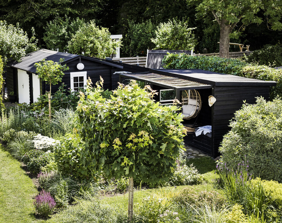 For få år siden var Bettinas have én stor græsplæne – nu er den forvandlet til en drømmehave