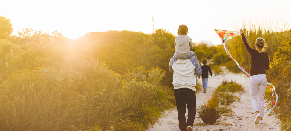 Stor guide: Det bør du lave, spise, læse og lytte til denne sommer