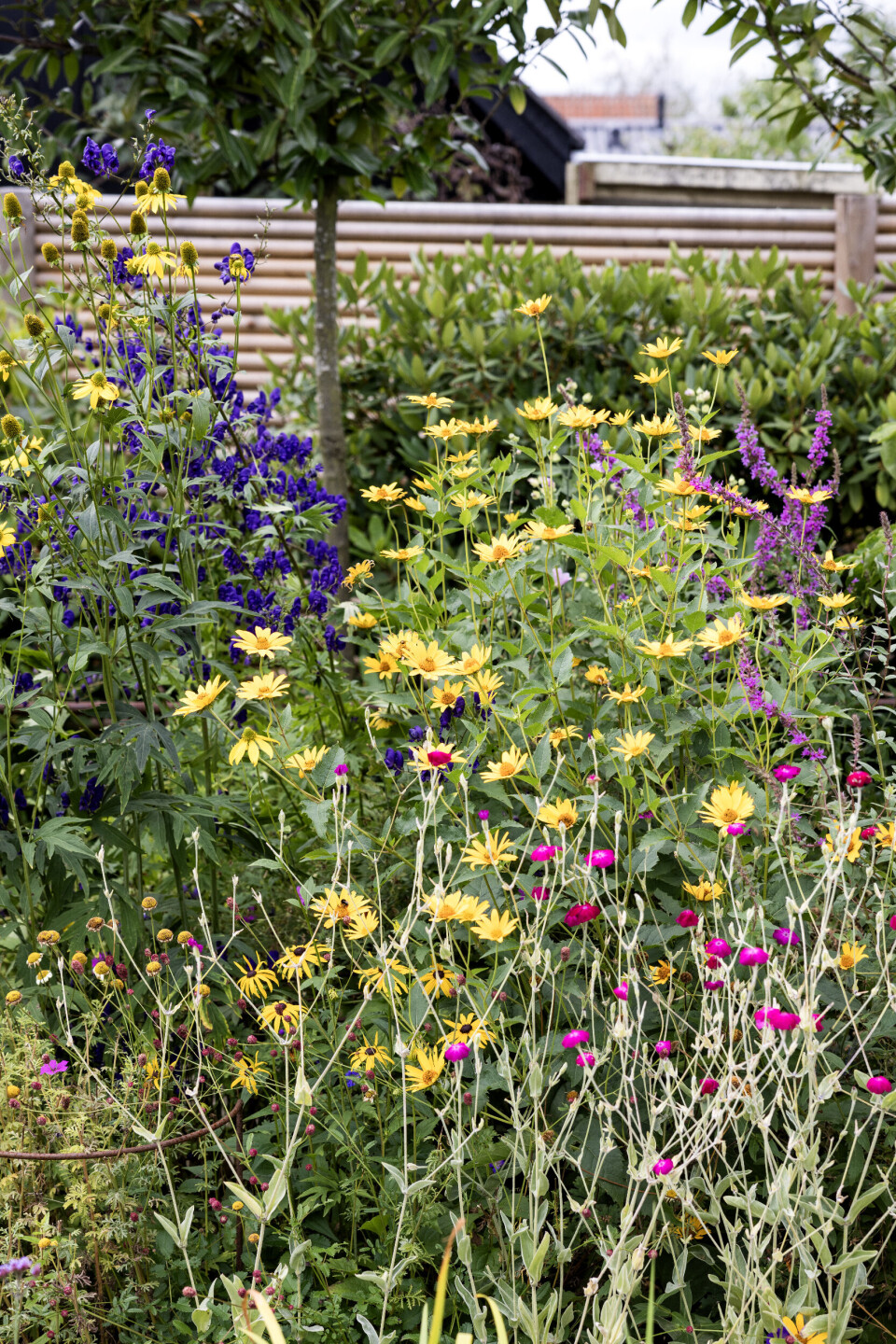 Blomsterbed