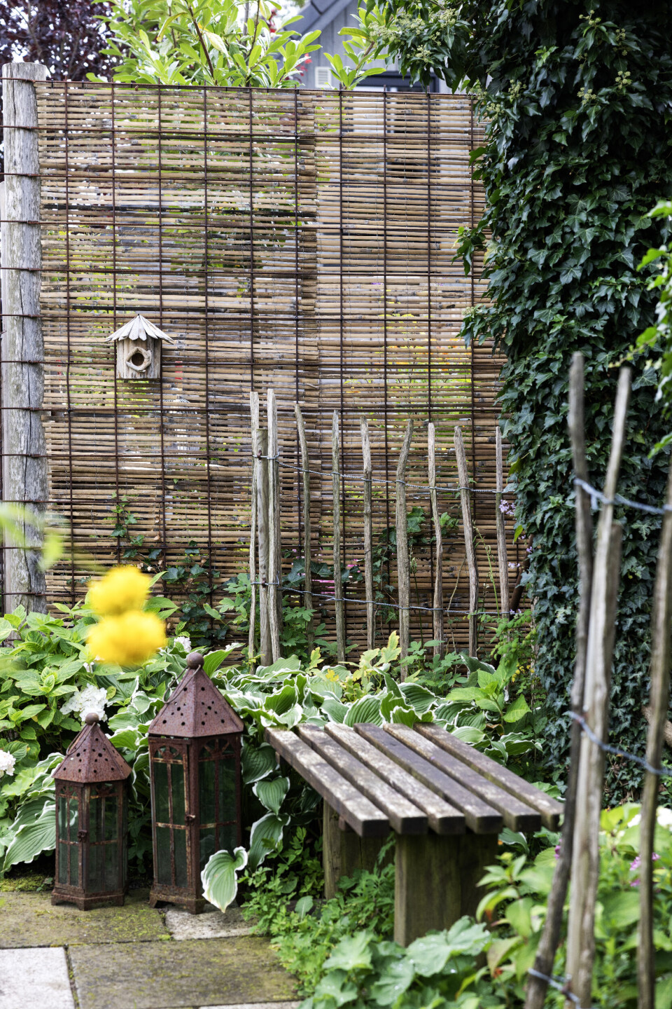 Bænk i haven