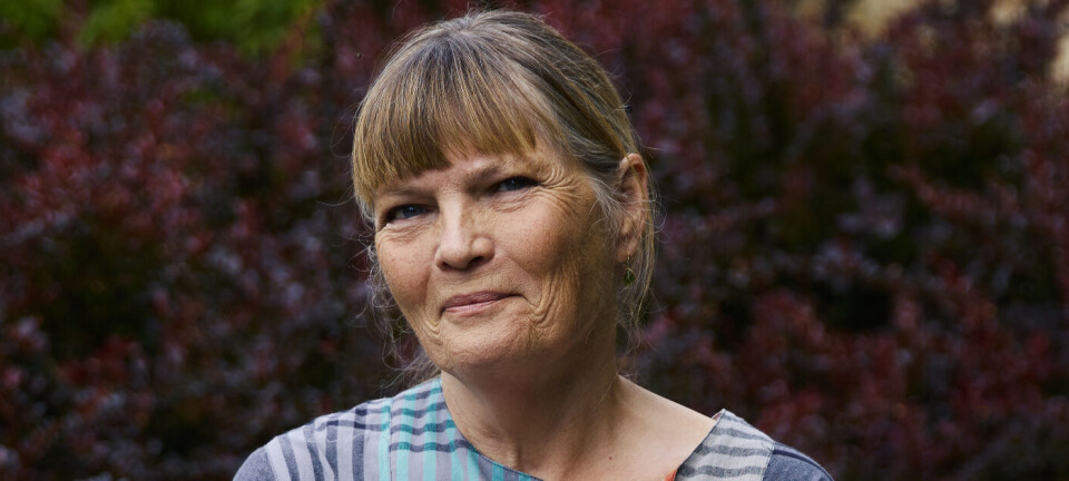 Anna Grue: Der er ét tidspunkt i livet, hvor det er allerbedst at få børn