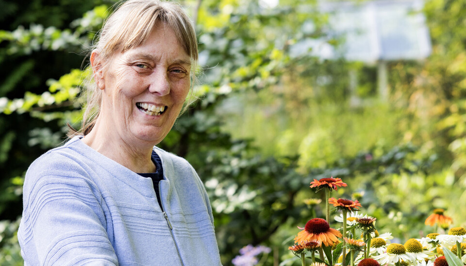 Anne Gine nyder timerne i haven, hvor hun en stor del af året er omgivet af blomstrende stauder, som hun selv tager frø fra og formerer, når sæsonen går på hæld.