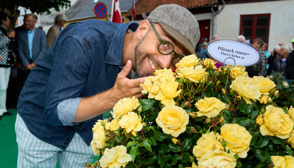 Pilmark-roserne skal plantes i haven hjemme i Thise.
