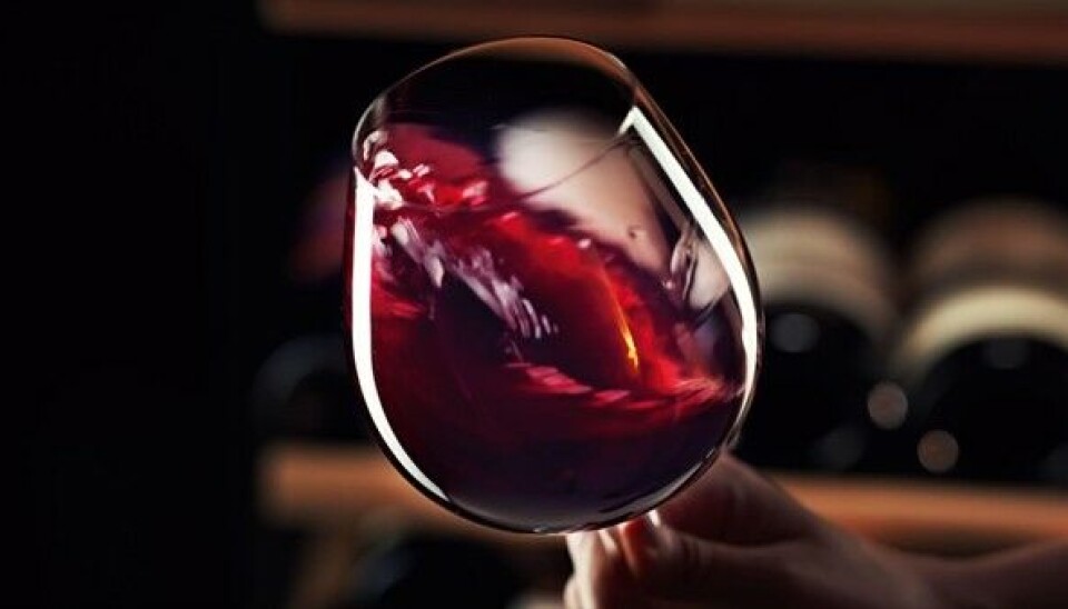 Sådan opbevarer du vin som en ekspert: 5 enkle trin til hjemmet